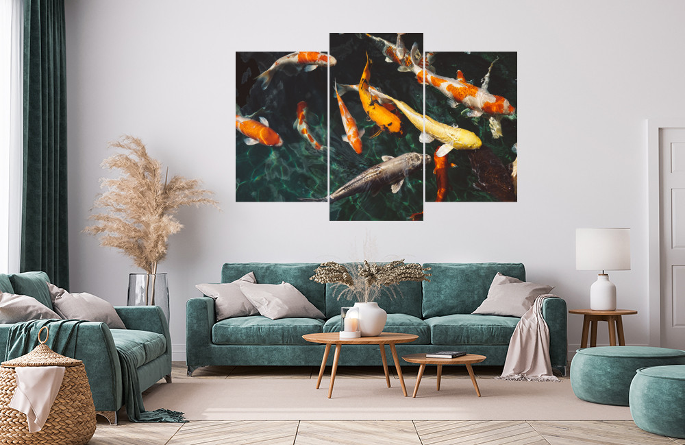 Koi kapři